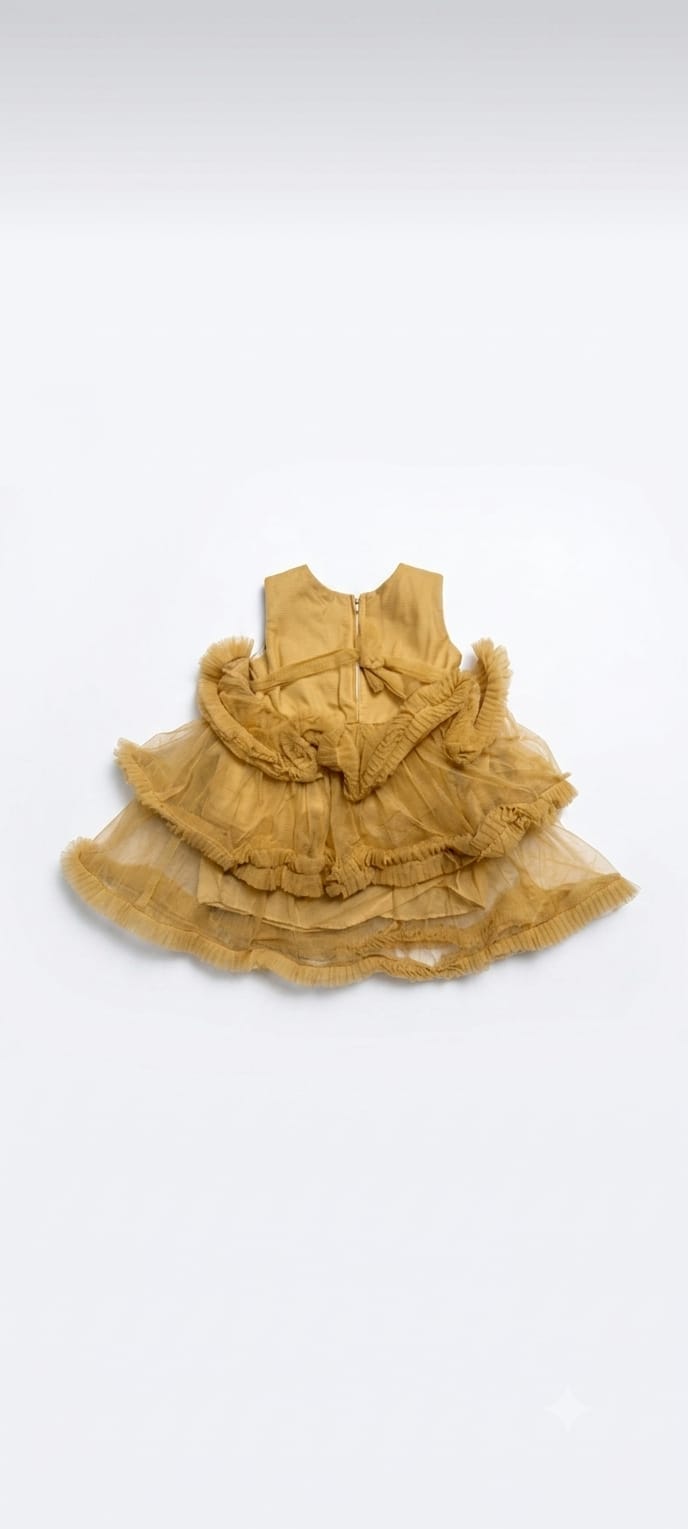 Baby Girls Champagne Gold Layered Party Dress with Floral Embellishments